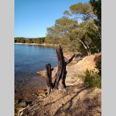 Face Mer Entre Plage Et Marina Bormes-les-Mimosas Εξωτερικό φωτογραφία