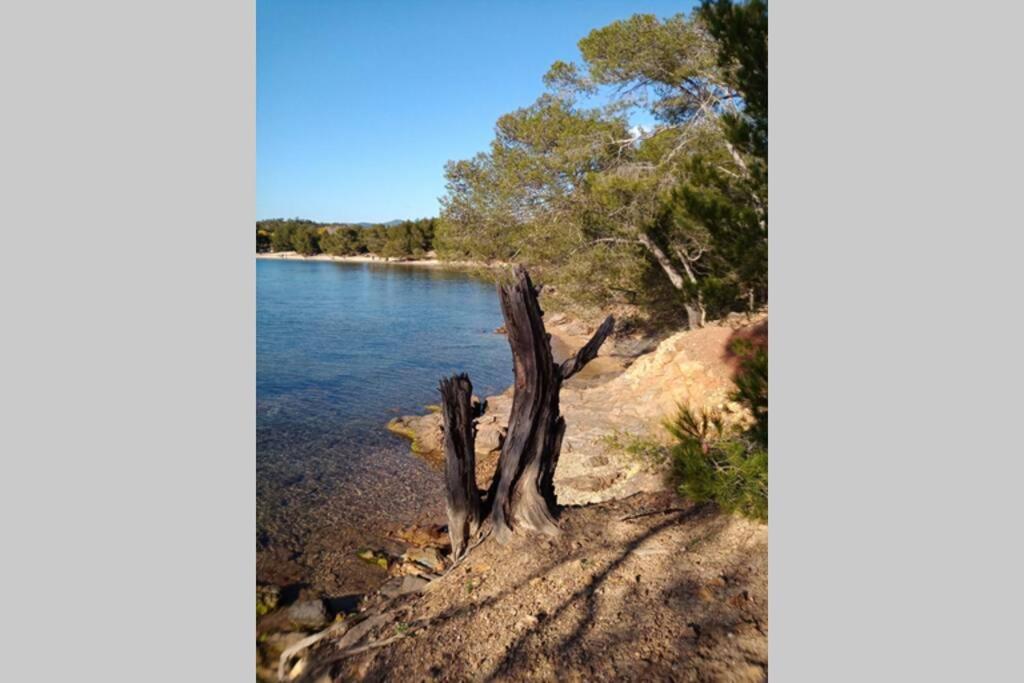 Face Mer Entre Plage Et Marina Bormes-les-Mimosas Εξωτερικό φωτογραφία