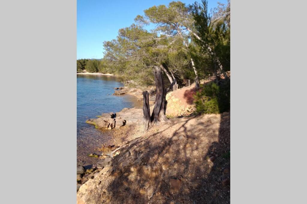 Face Mer Entre Plage Et Marina Bormes-les-Mimosas Εξωτερικό φωτογραφία